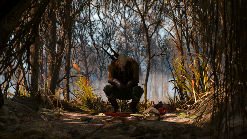 Illustration for article titled The Witcher 3, As Told Through Beautiful Screenshots